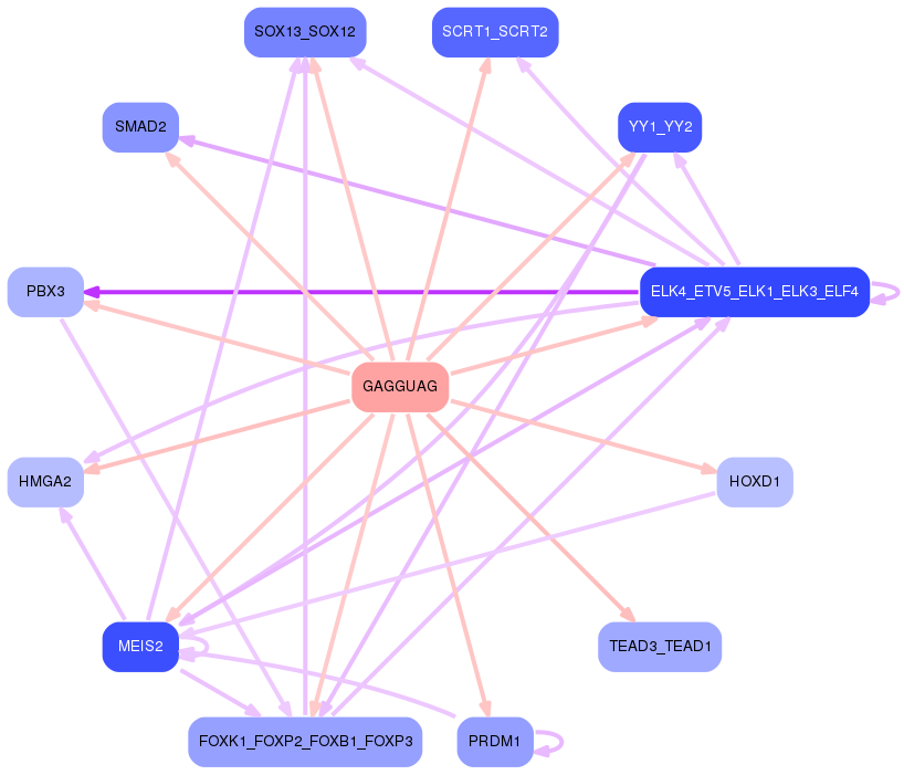 PNG image of the network