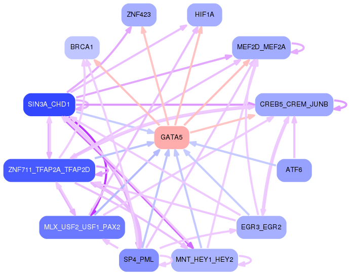 PNG image of the network