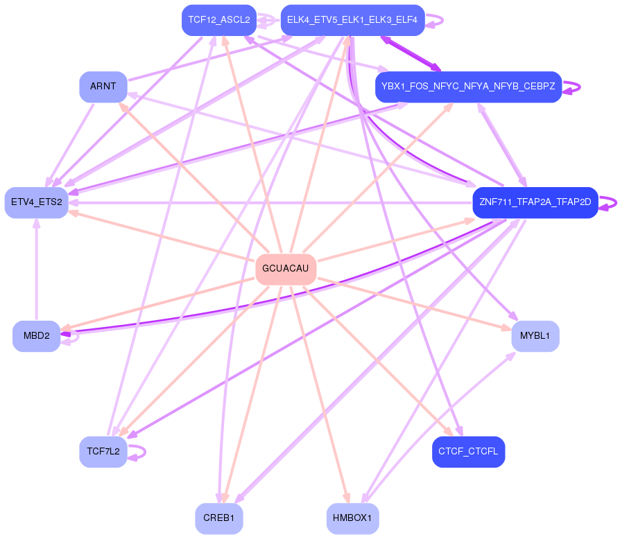 PNG image of the network