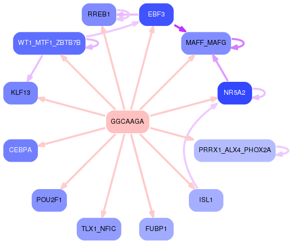 PNG image of the network