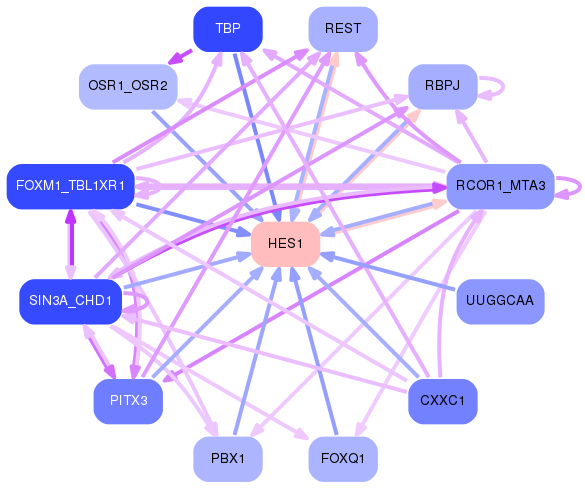 PNG image of the network