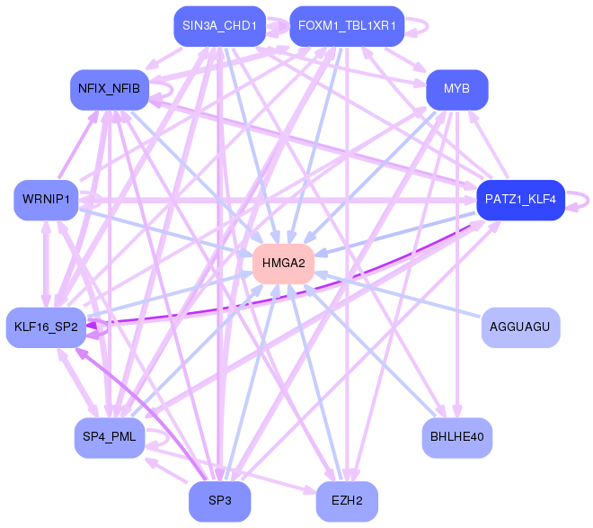 PNG image of the network