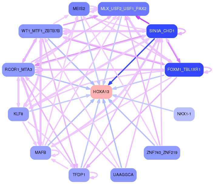 PNG image of the network