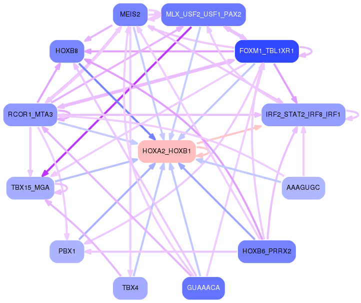 PNG image of the network