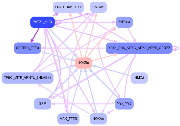 PNG image of the network