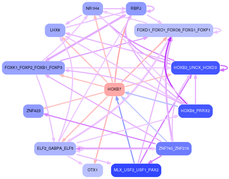 PNG image of the network