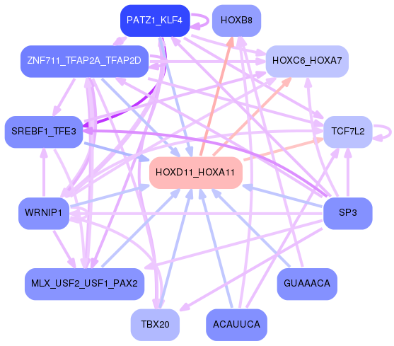 PNG image of the network