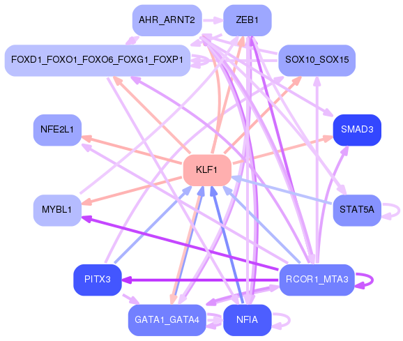 PNG image of the network