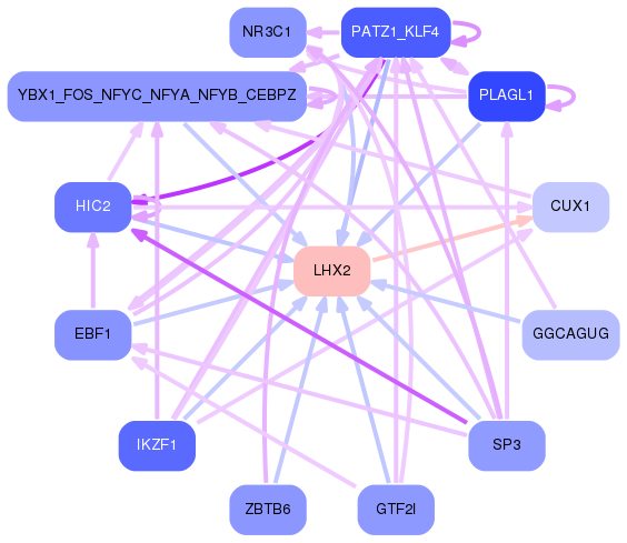 PNG image of the network