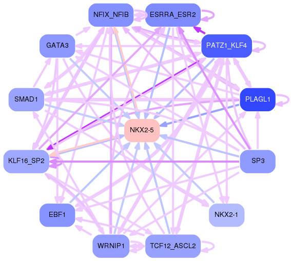 PNG image of the network