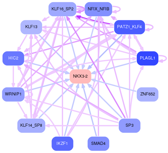 PNG image of the network