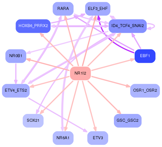 PNG image of the network