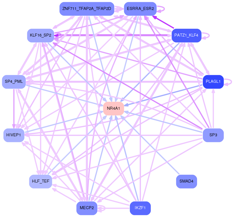 PNG image of the network