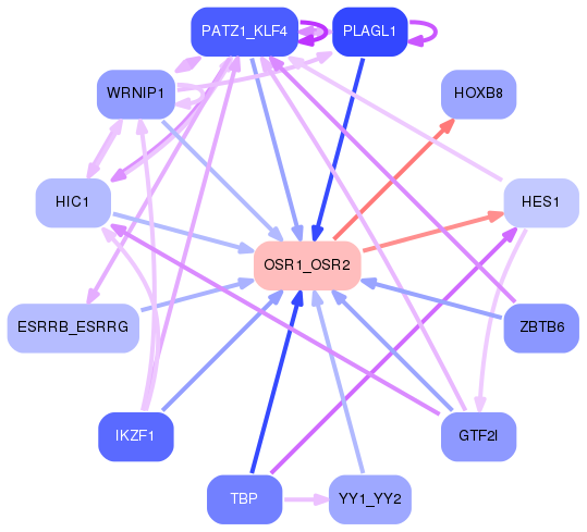 PNG image of the network