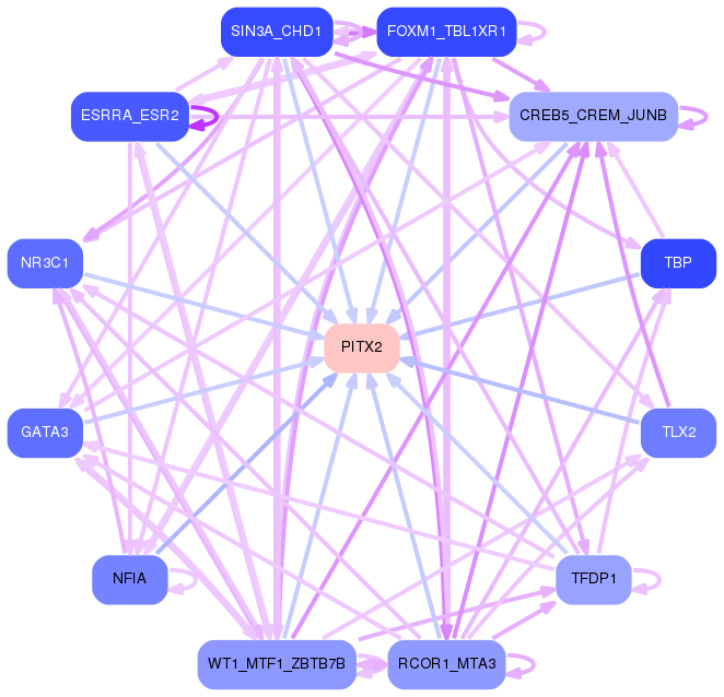 PNG image of the network