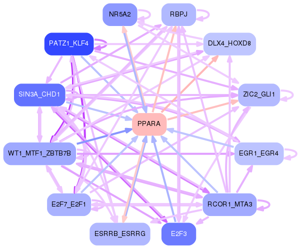 PNG image of the network