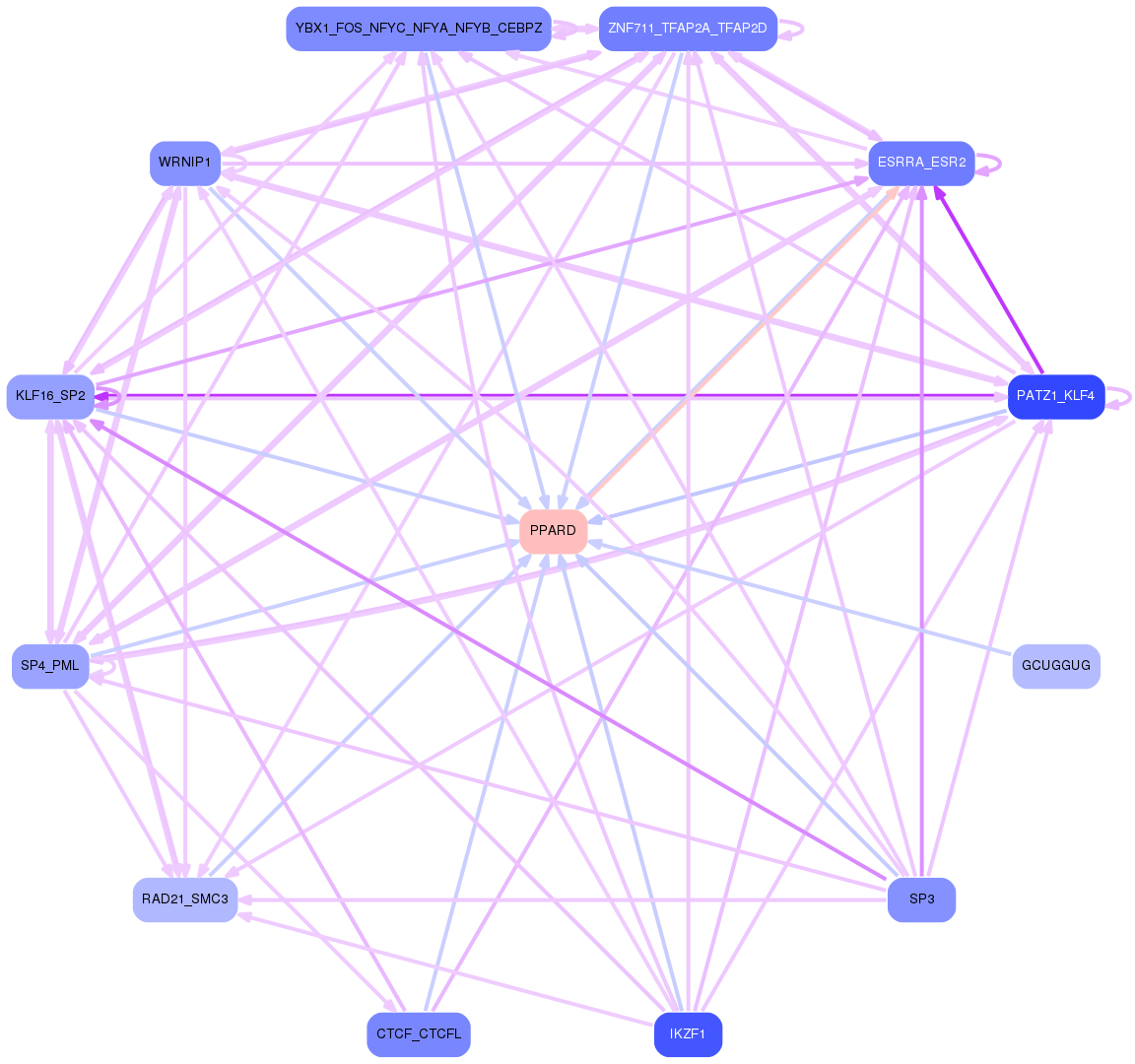 PNG image of the network