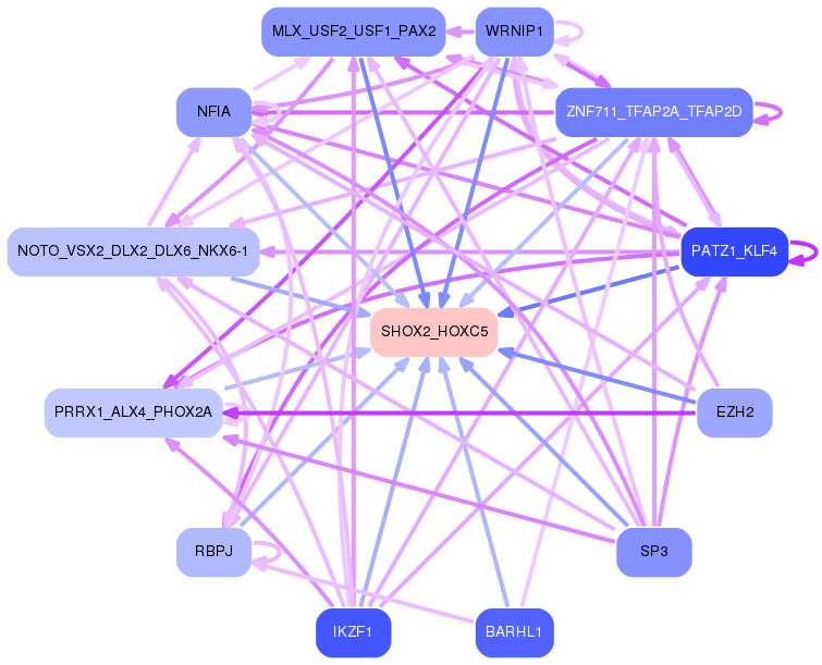 PNG image of the network