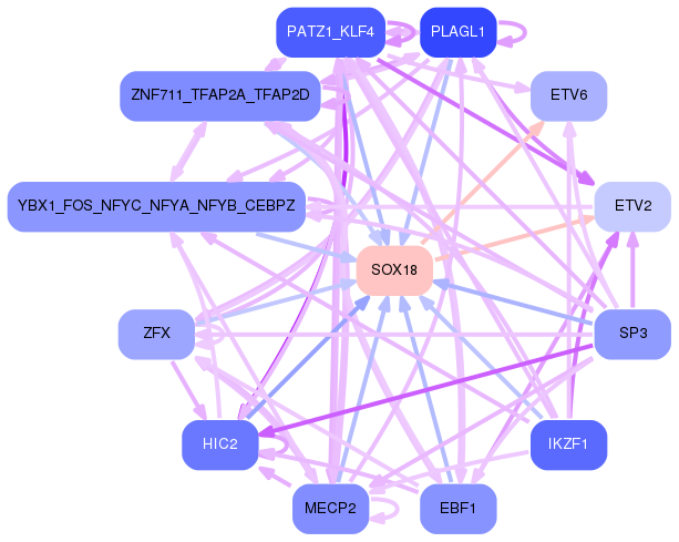 PNG image of the network