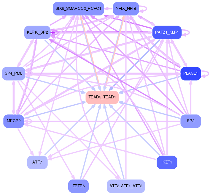 PNG image of the network