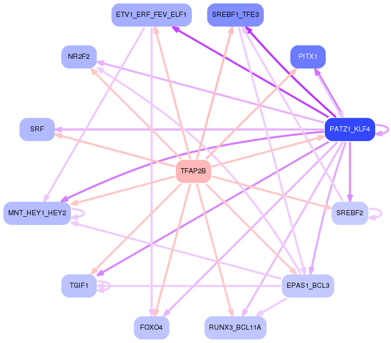 PNG image of the network