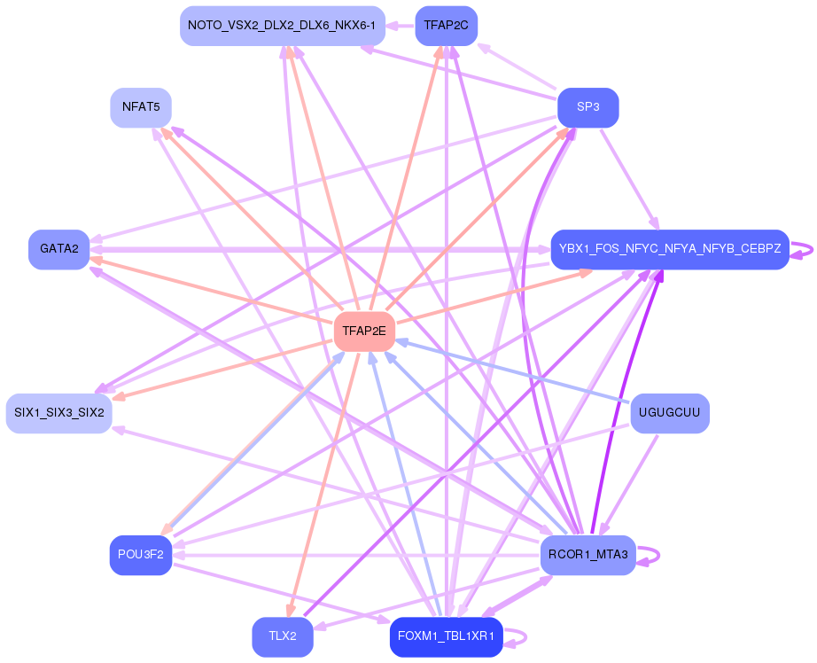 PNG image of the network