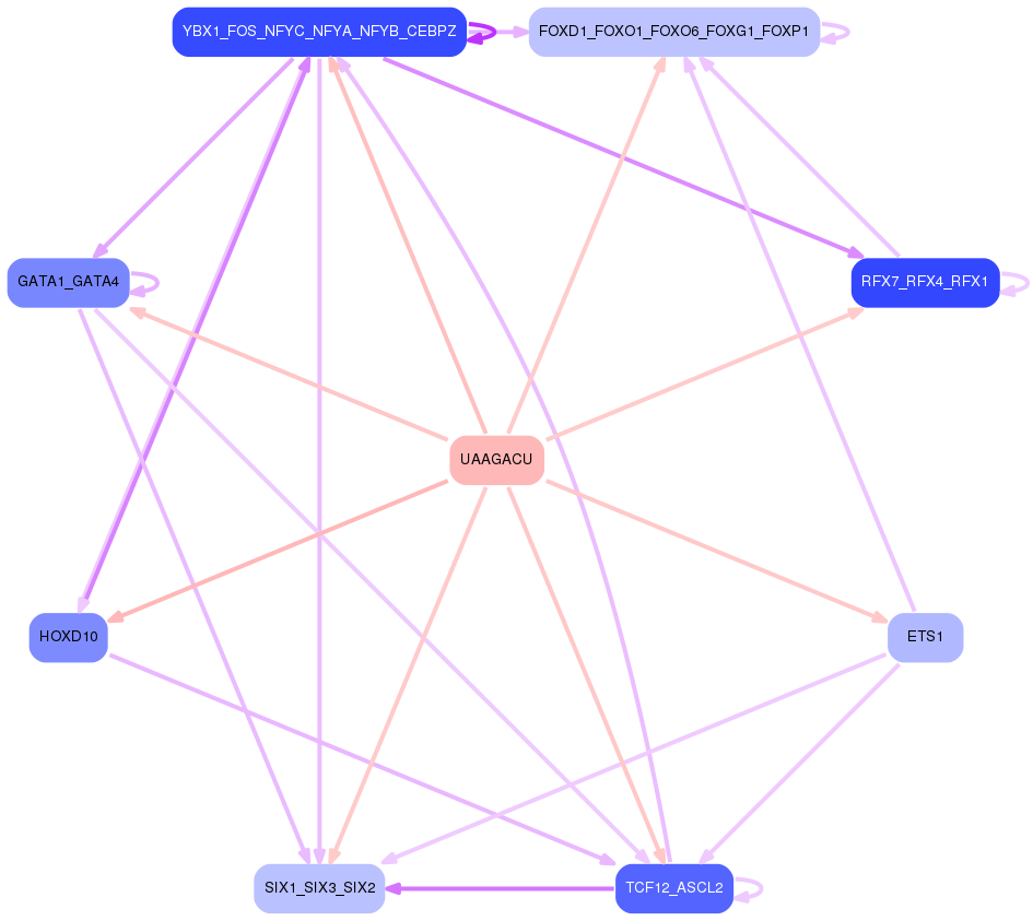 PNG image of the network
