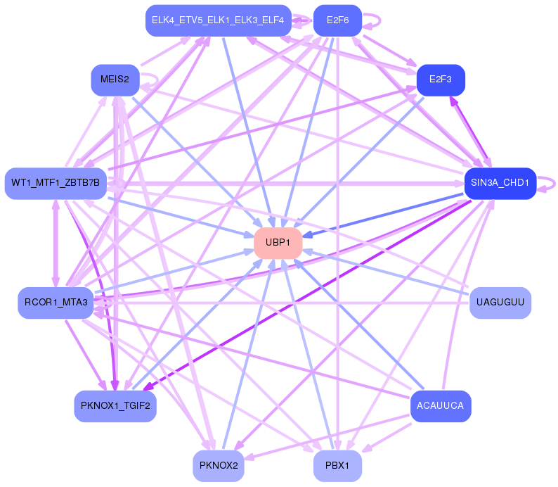 PNG image of the network