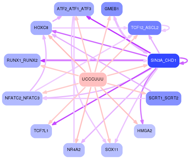 PNG image of the network