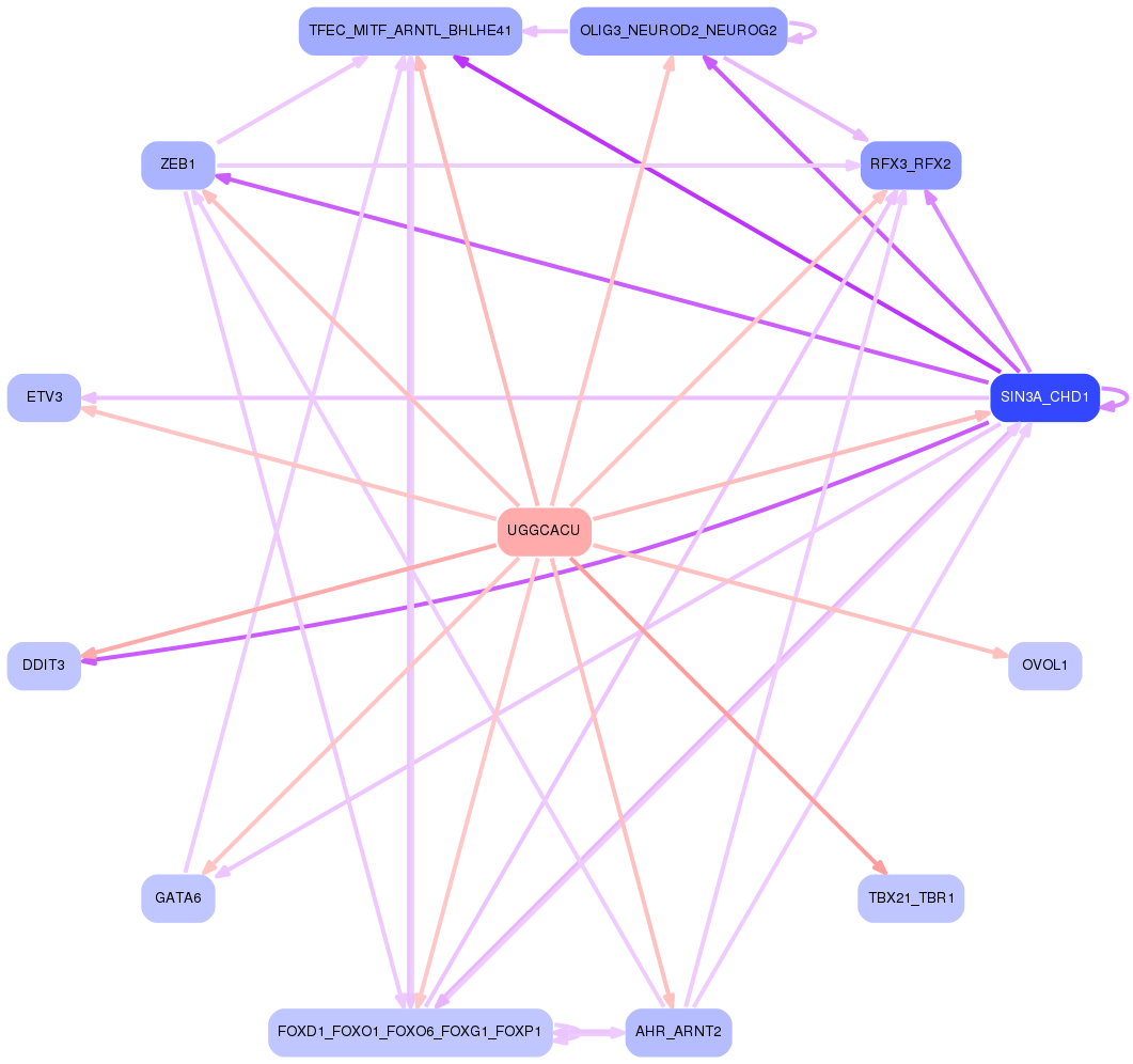 PNG image of the network