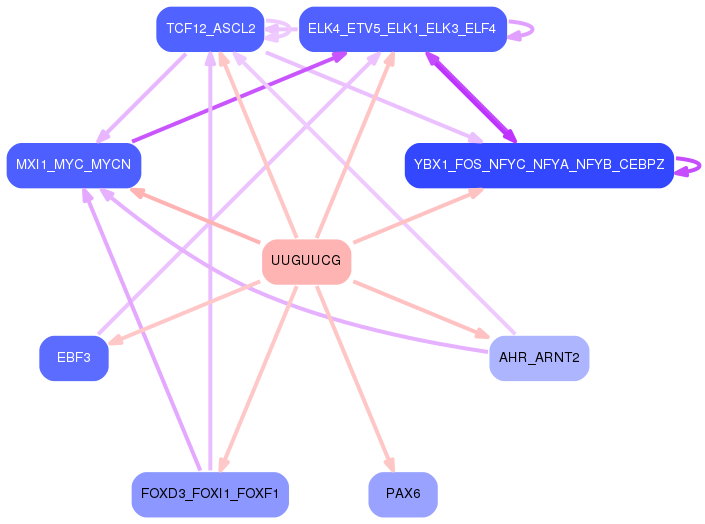 PNG image of the network
