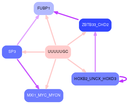 PNG image of the network