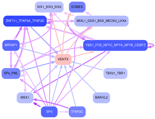 PNG image of the network