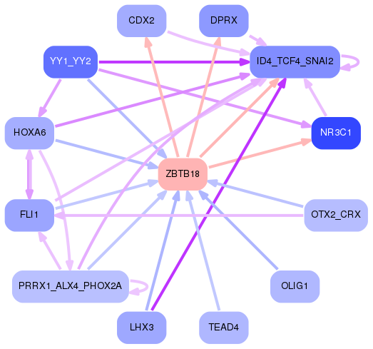 PNG image of the network