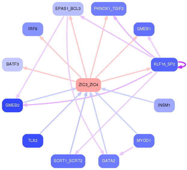 PNG image of the network