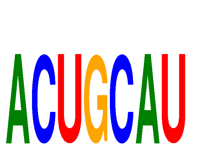 SeqLogo of ACUGCAU