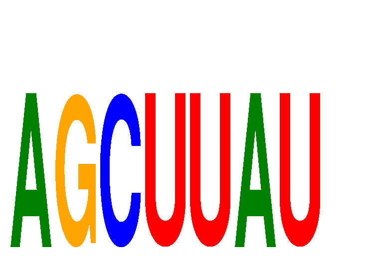 SeqLogo of AGCUUAU
