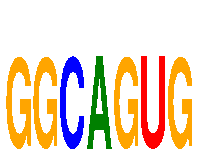 SeqLogo of GGCAGUG