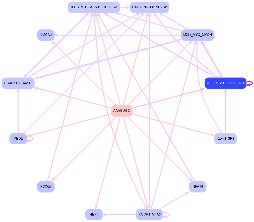 PNG image of the network