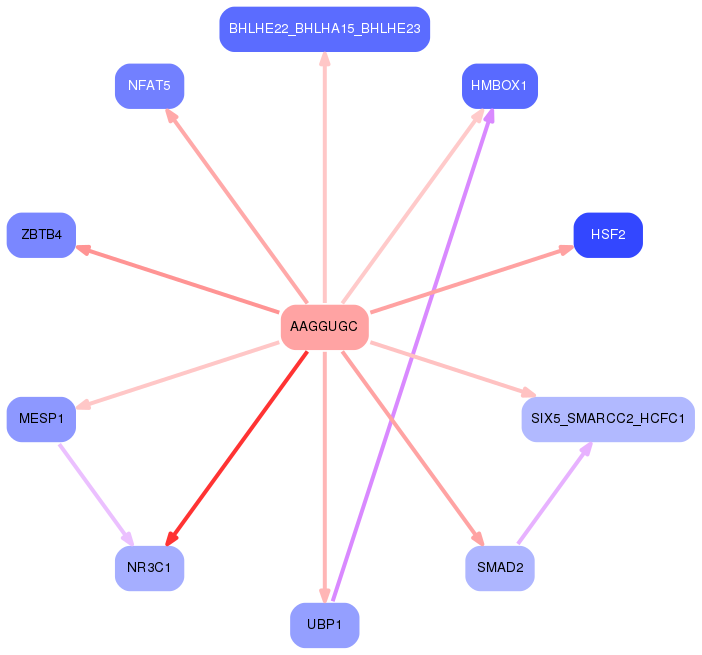 PNG image of the network