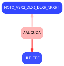 PNG image of the network