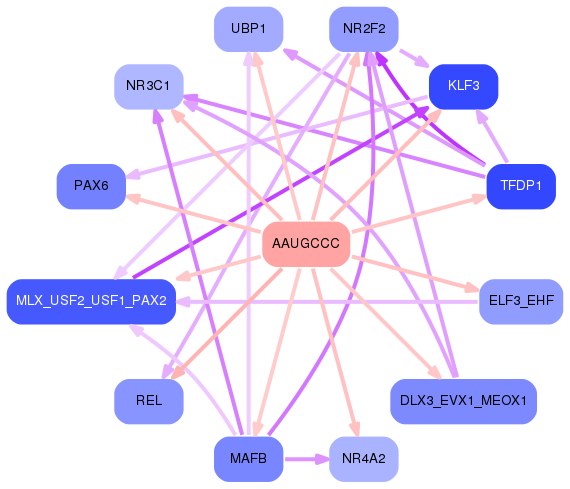 PNG image of the network