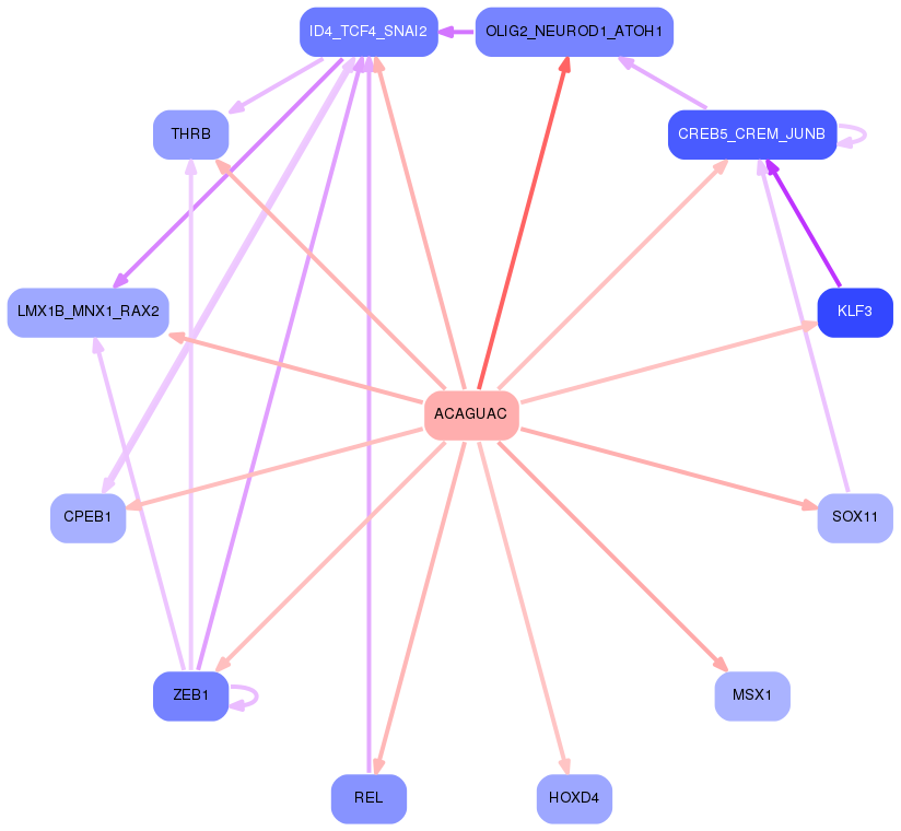 PNG image of the network
