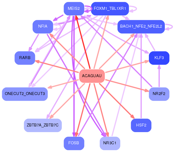 PNG image of the network