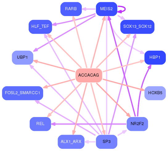 PNG image of the network