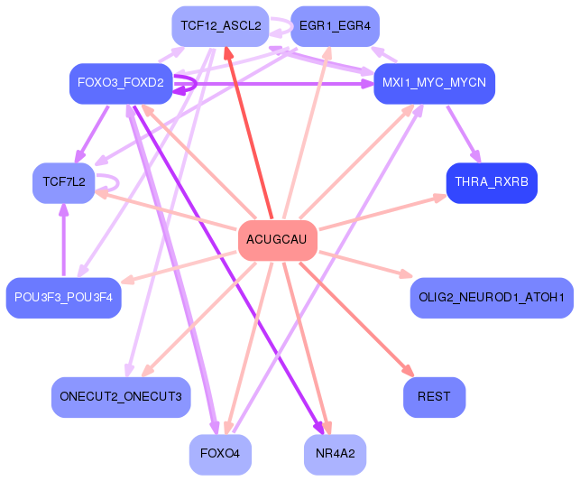 PNG image of the network