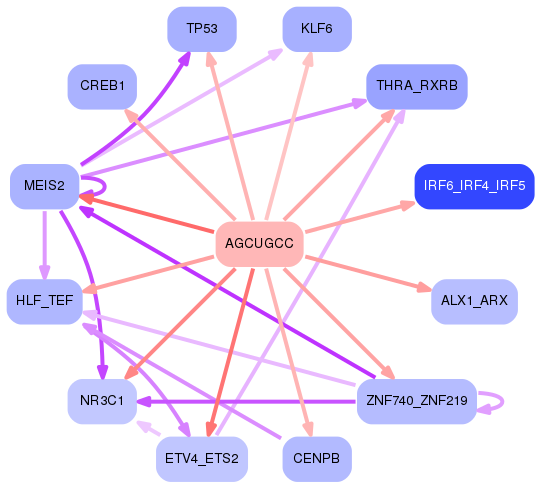 PNG image of the network