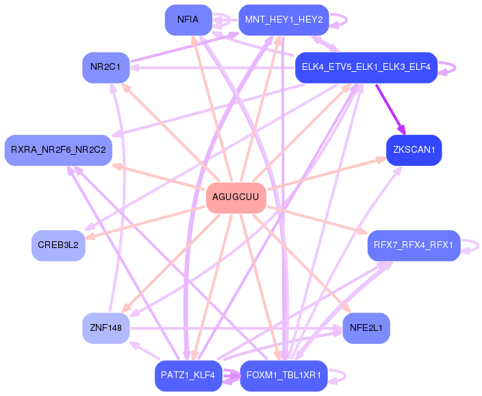 PNG image of the network