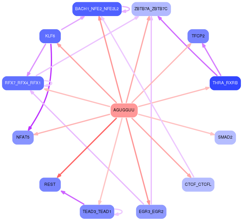 PNG image of the network