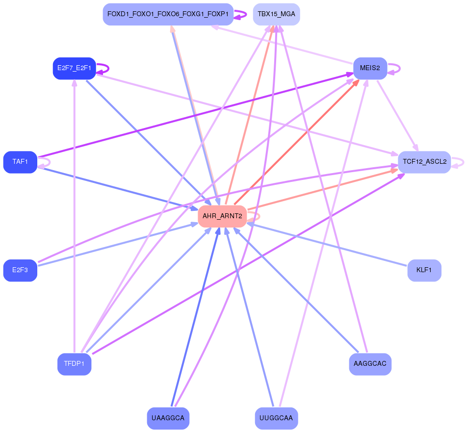 PNG image of the network
